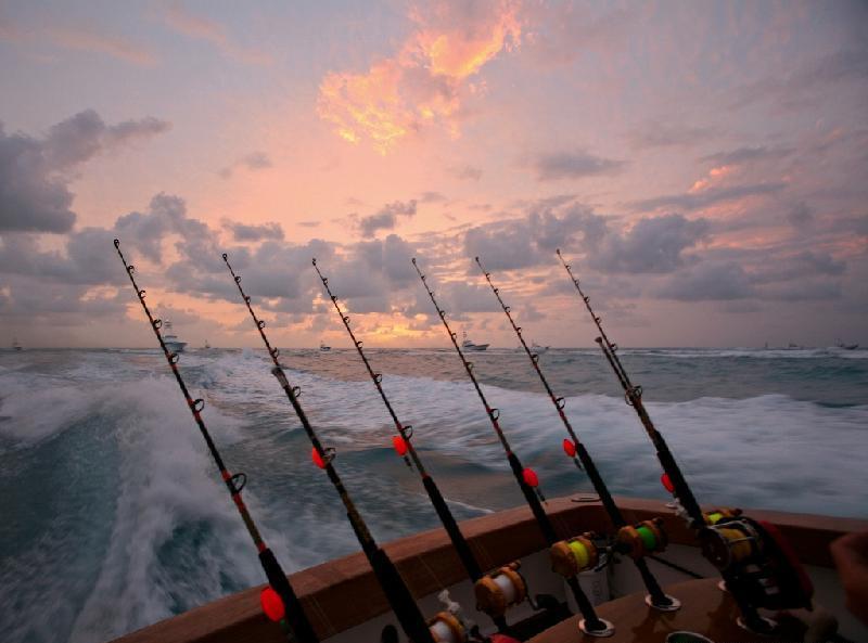 yacht fishing rods